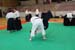 Crab_Sallanches_2012 (38)