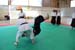 Crab_Sallanches_2012 (39)