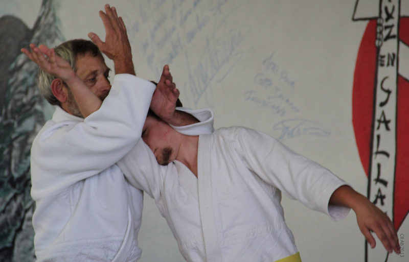 Viuz_2013_10_19 (13)