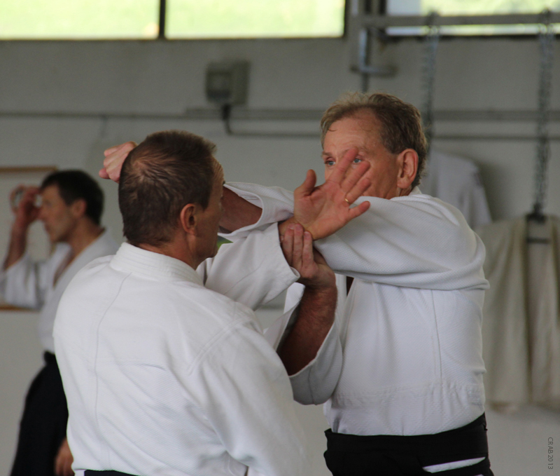 Viuz_2013_10_19 (16)